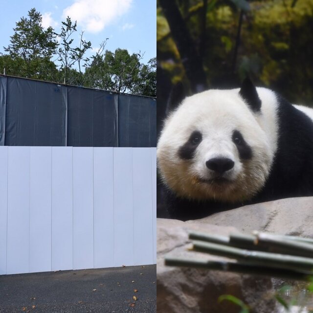 上野動物園の旧パンダ舎は解体へ 入園者2割減