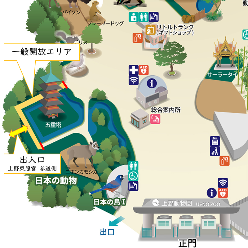 上野動物園内・旧寛永寺五重塔の観覧方法が変更
