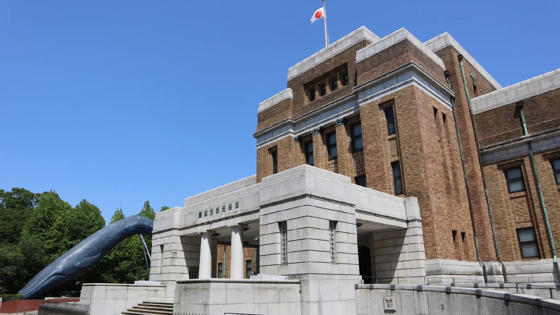国立科学博物館